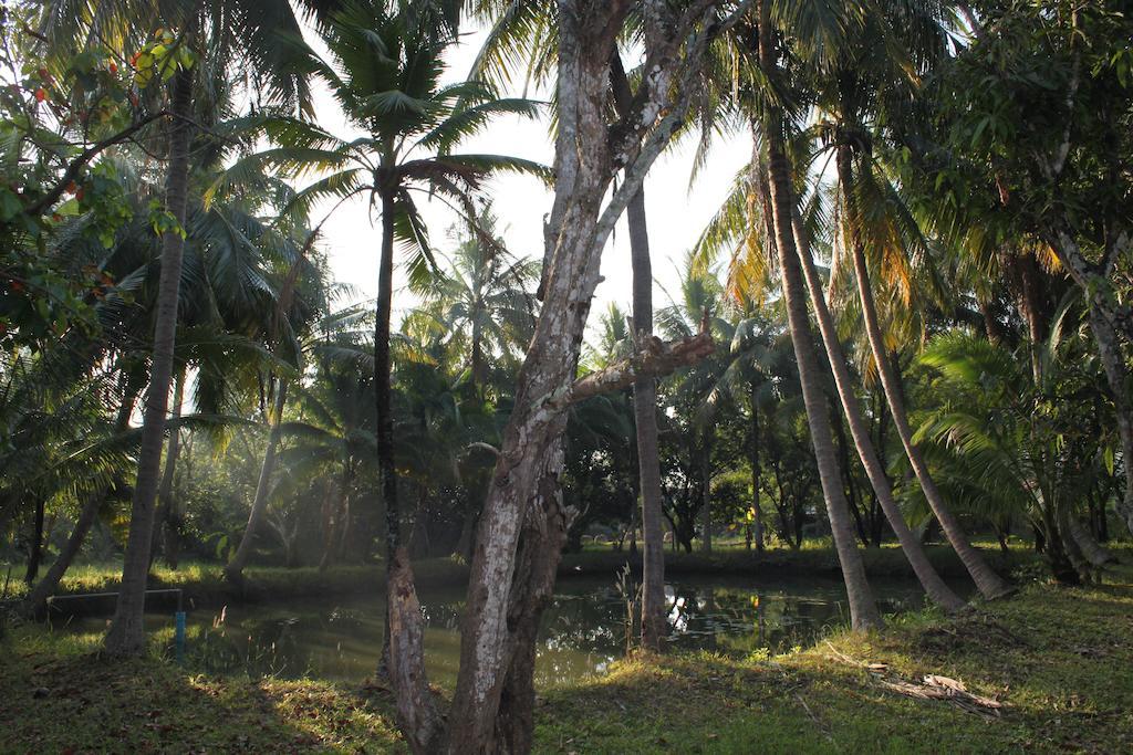 Chaisuk Bungalow Hotel Aranyaprathet Exterior photo